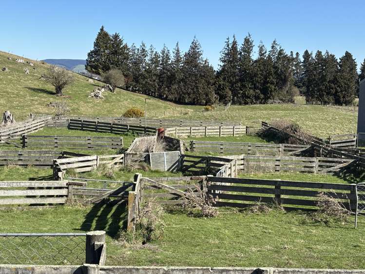 Waihola Highway Waihola_15