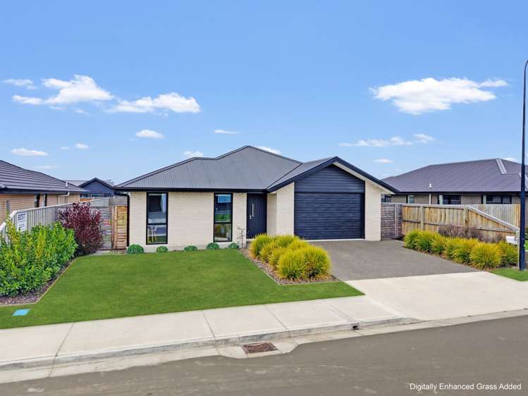 8 Higgins Street Ravenswood_22