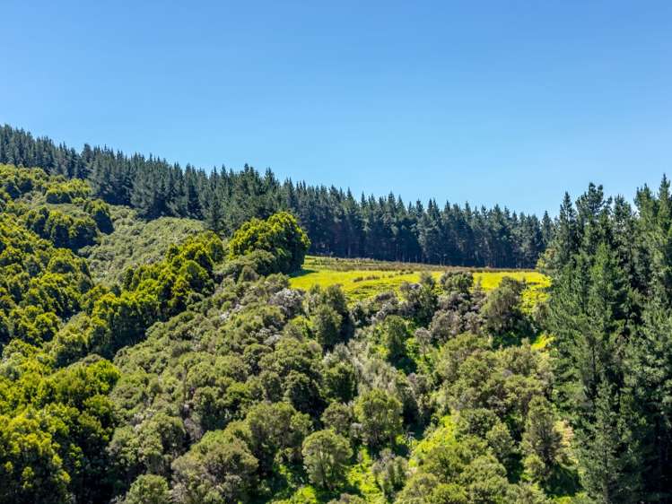 2928 White Rock Road Tuturumuri_9