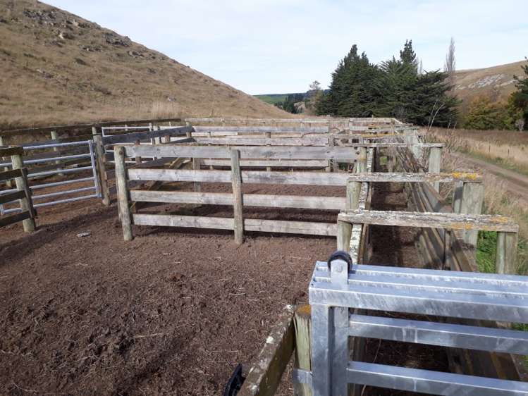 422 Earthquake Road Duntroon_8