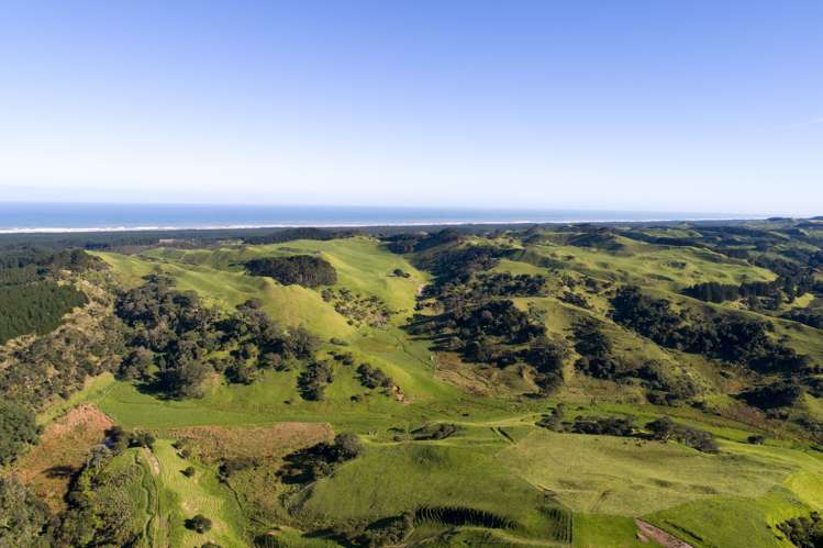 36 Goudie Road Helensville_5