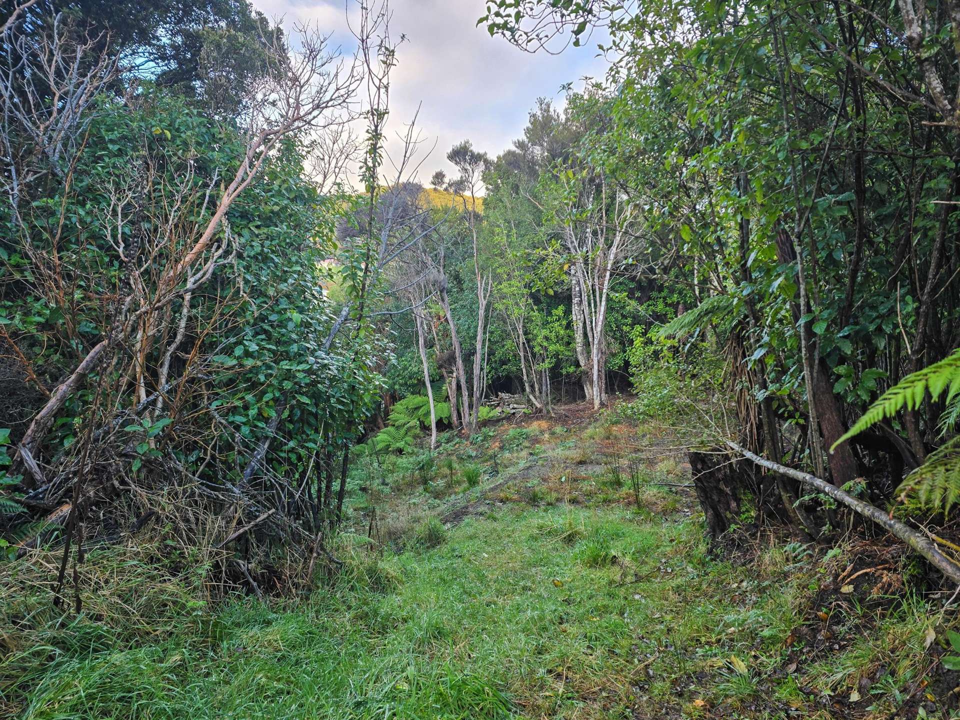 8 Rata Street Stewart Island_0