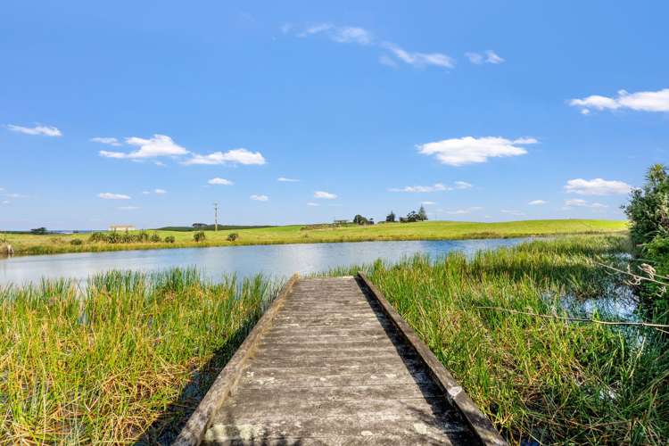 1200 Redhill road Te Kopuru_29