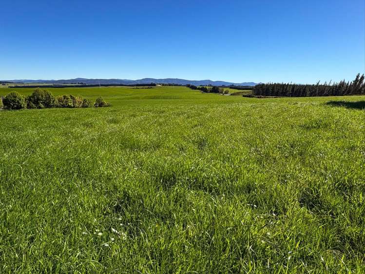 461 Cross Road Pebbly Hill_16