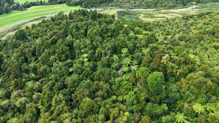 40Ha Block State Highway 67 Mokihinui_35
