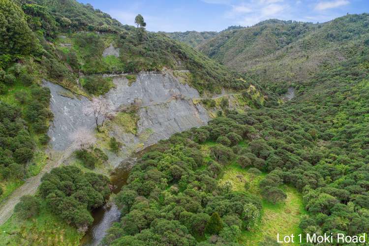 Lot 1 Moki Road, Tahora Taumarunui_5