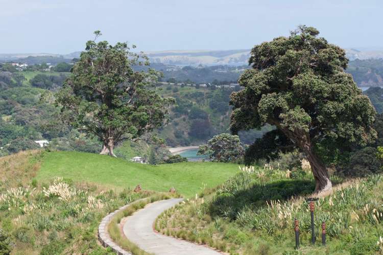 13 Lots Wawata Estate, Waiheke Island_16