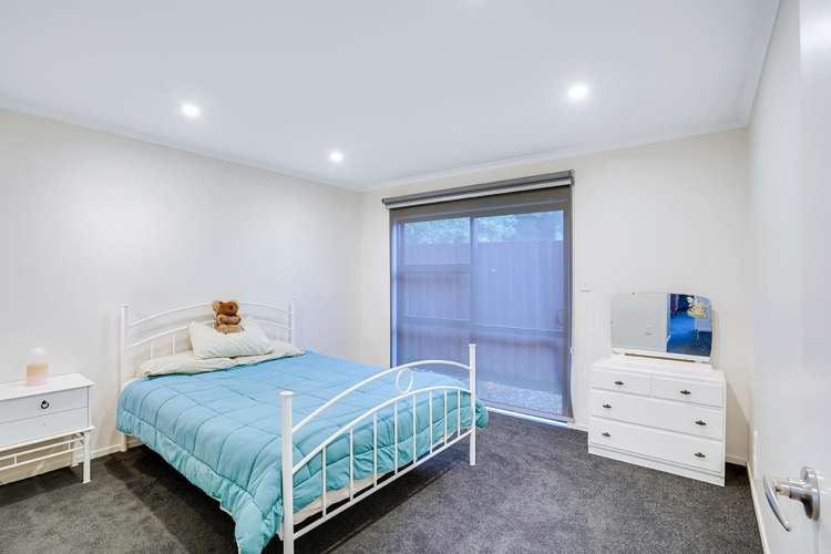 416A Tristram Street Whitiora_12