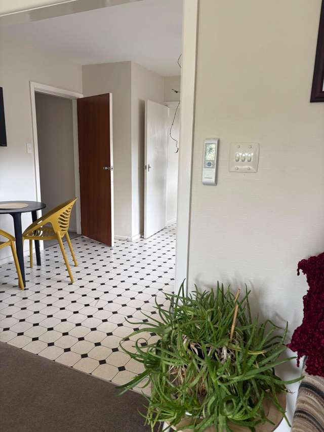 23 Wildberry Street Woolston_3