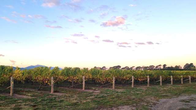 743 Old Renwick Road Renwick_2