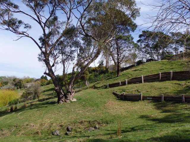 31 Richardson Avenue Whataupoko_2