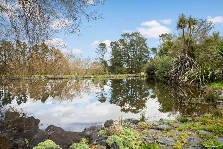 96 Dunrobin Lane Ararimu_24