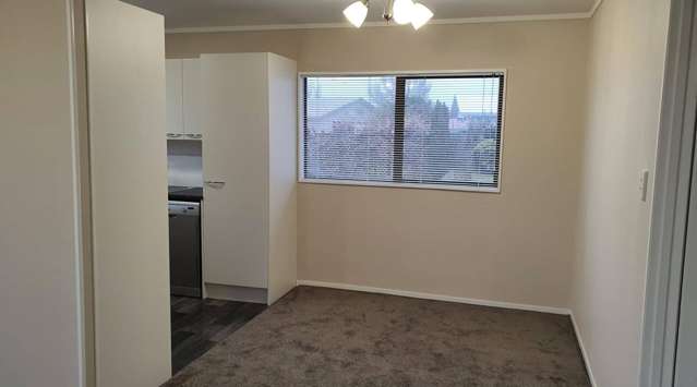 296 Malfroy Road 1070_4