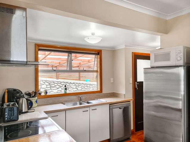 20 Chester Street Levin_4