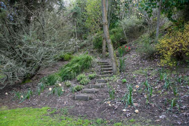 182 Thornton Road Cambridge_17