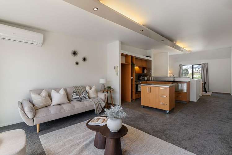 12/45 Childers Terrace Kilbirnie_4