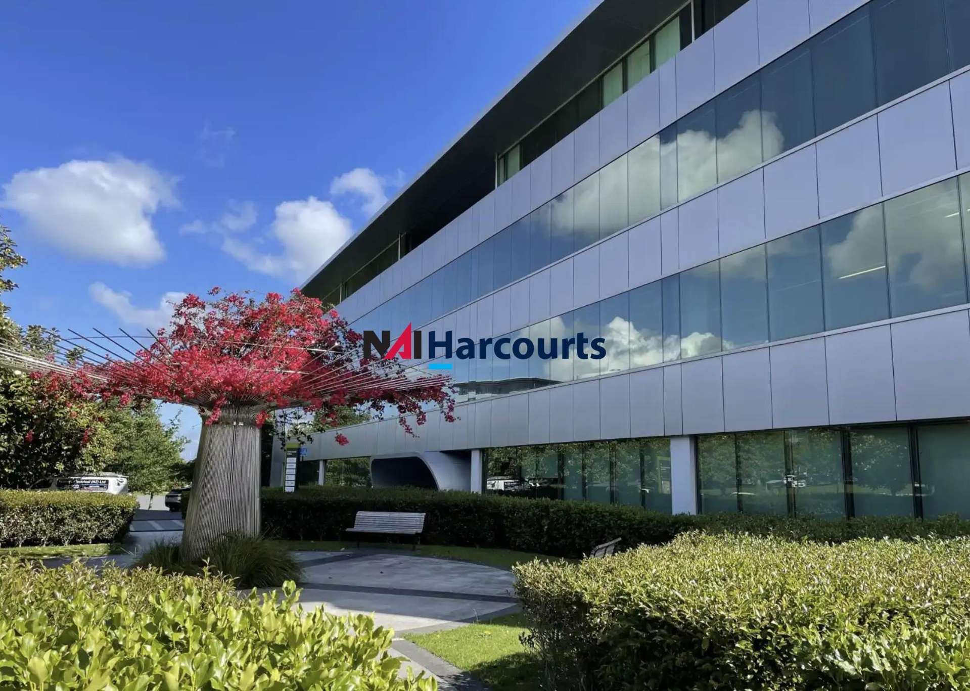 Address withheld Takapuna_0