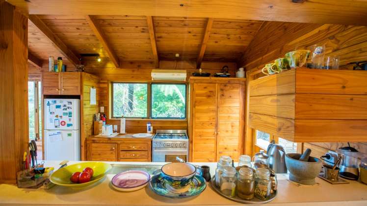 20 La Trobe Track Karekare_14