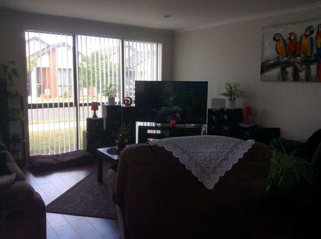 12 Tete Lane Takanini_1