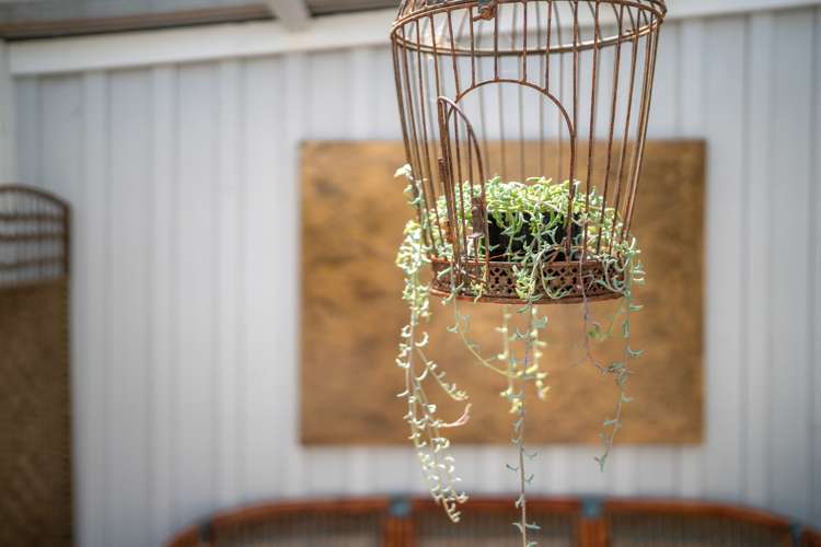 7 Hillside Road Ostend_29