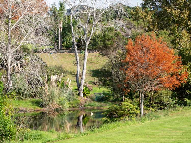 250C Redcliffs Road Kerikeri_21