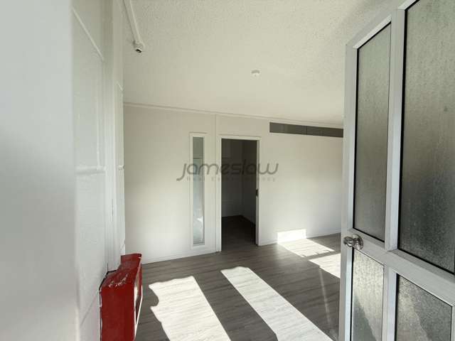 1A Roberta Avenue Glendowie_2