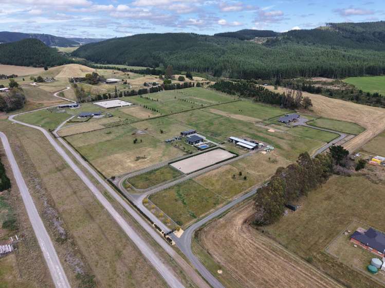 341 White Road Broadlands Forest_22