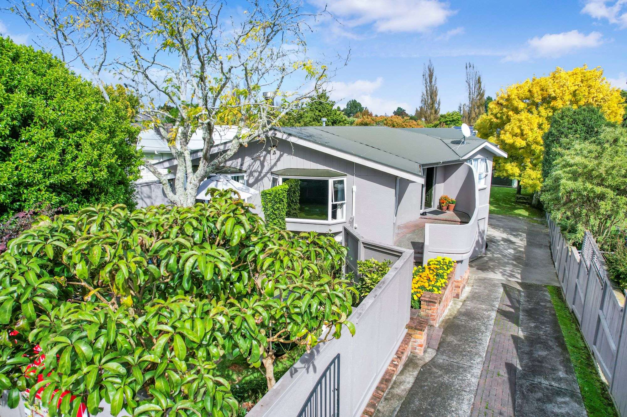 17 Queenwood Avenue Queenwood Hamilton City Houses for Sale One