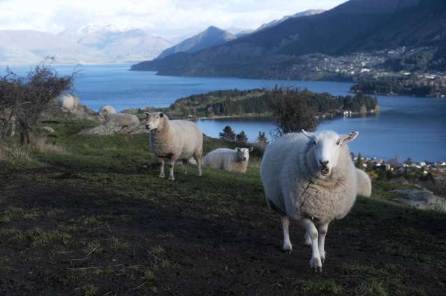House prices rising in NZ’s farm suburbs as shop-heavy towns lose out