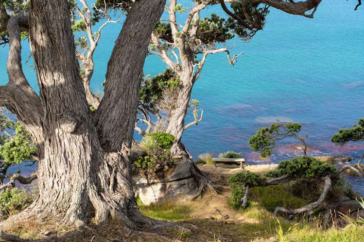 Lot 1,1067 Cove Road Langs Beach_16