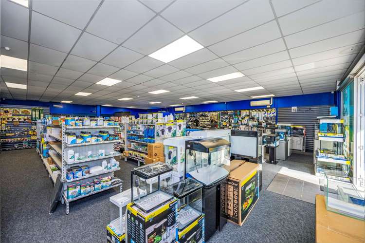 10/2 Tawa Drive Albany_4