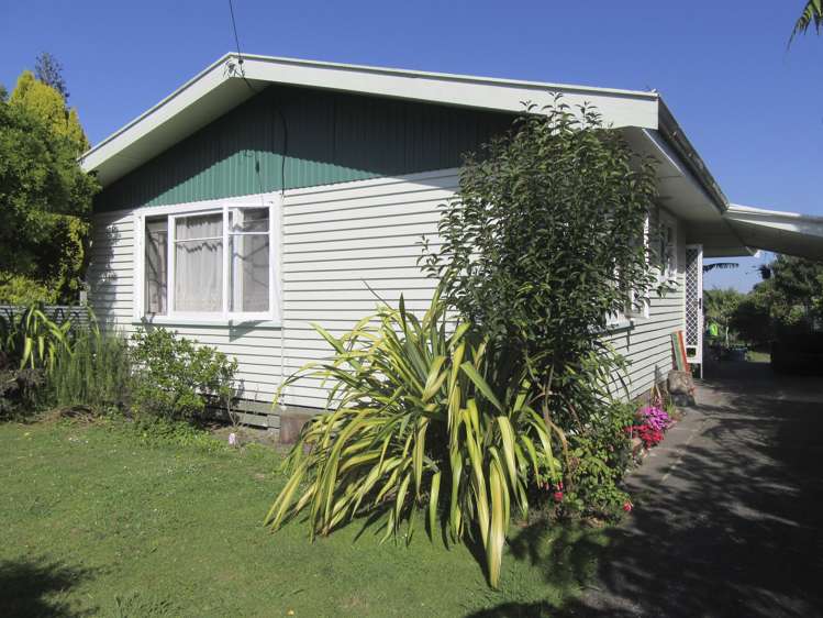 65 Daphne Street Outer Kaiti_9