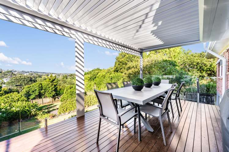 24 Carlton Street Hillsborough_4