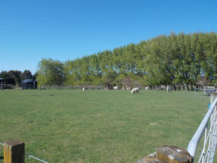 235c Watershed Road Bunnythorpe_25