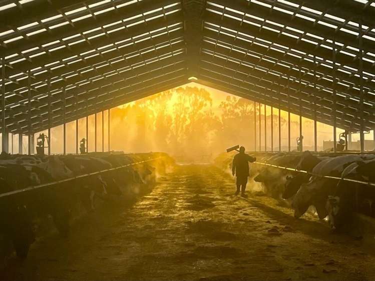 1599 Hundred Line Road East Winton_12