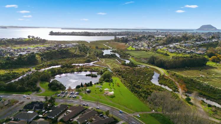 85 Glenpark Crescent Bethlehem_11