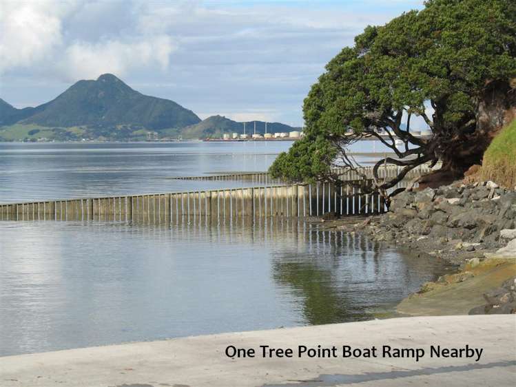 55 Te Taniwha Road One Tree Point_2