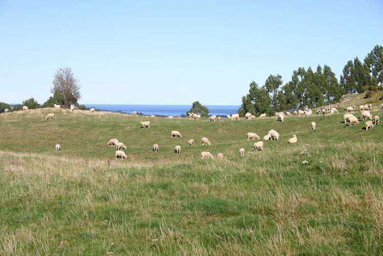 83 Mcmeakin Road Abbotsford_18