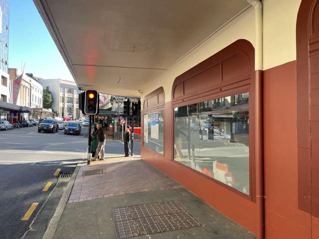 79 Princes Street Dunedin Central_1