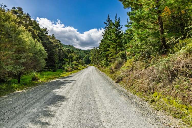 Pokapu Road Matawaia_13