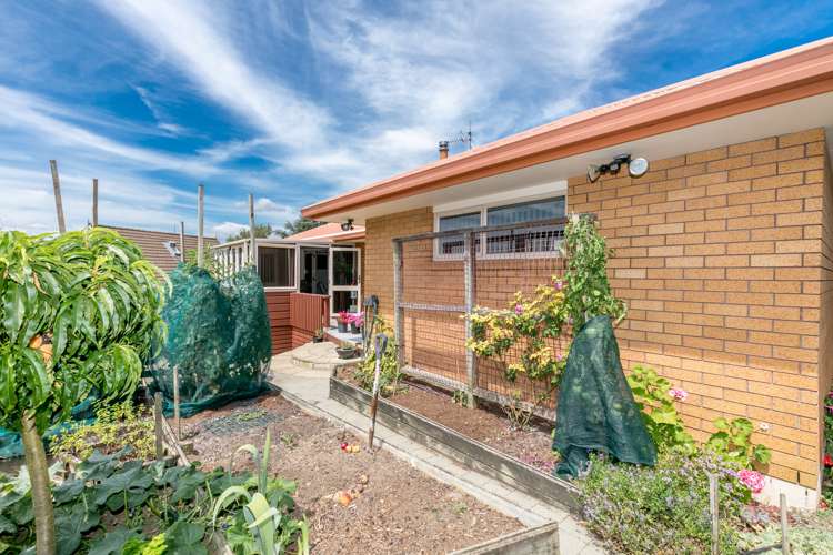 198 Greenhill Drive Te Awamutu_5