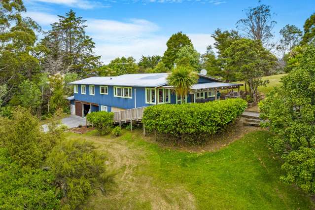 44 Guy Road Kaipara Flats_2