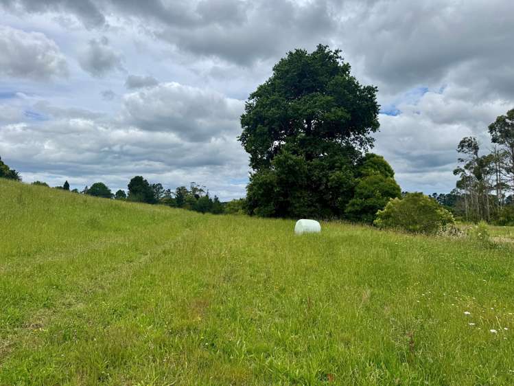 30C State Highway 2 Aongatete_10