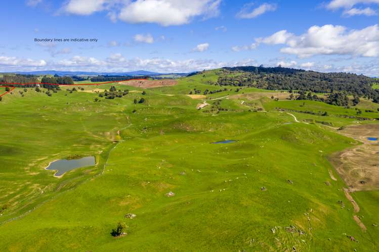 1274 Poihipi Road Oruanui_14