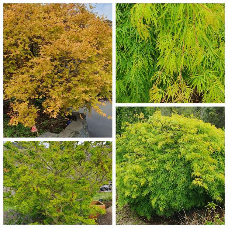 128E Mauku Road Patumahoe_33