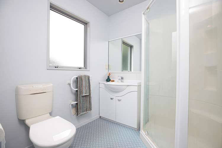 38 Hillsborough Terrace Hillsborough_9