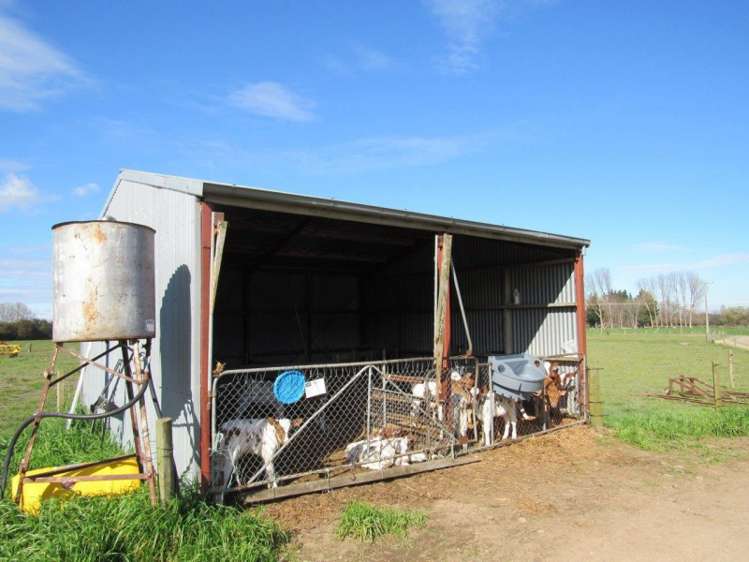 387 Te Aroha-Gordon Road Hauraki Surrounds_9