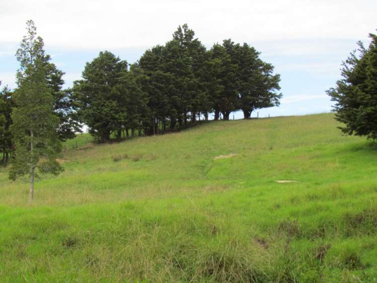 300 Gumtown Road Kamo_18