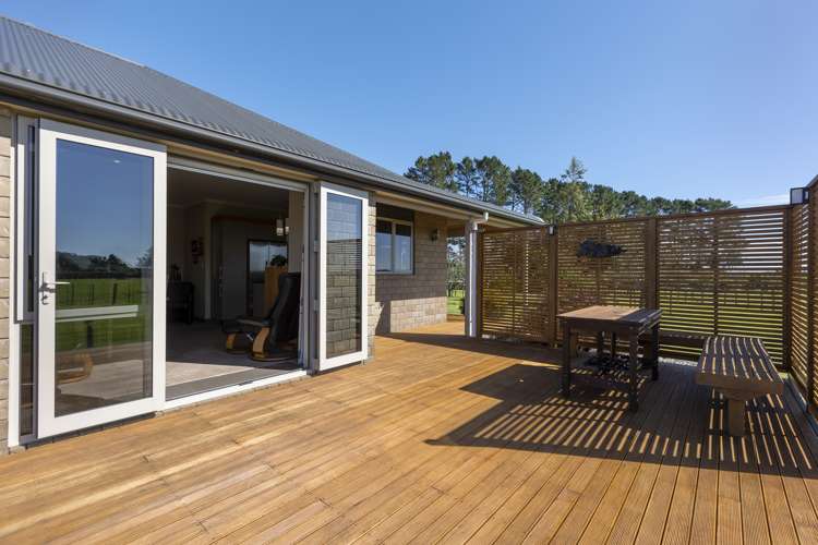 8 Pitt Road Hillsborough_5