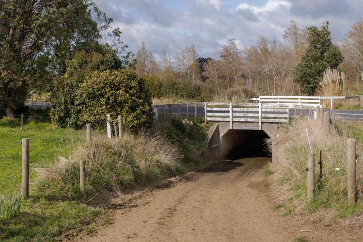 180 Cameron Road Morrinsville_23